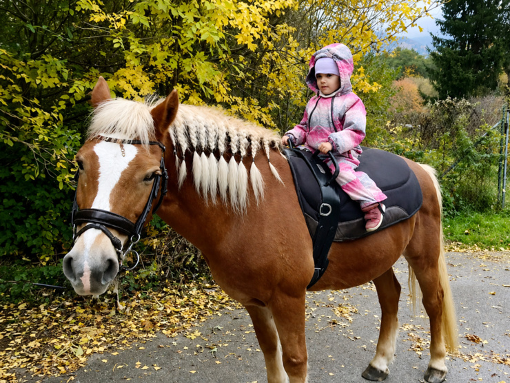 Adelke s autizmom dávajú koníky to, čo iné terapie nedokážu.